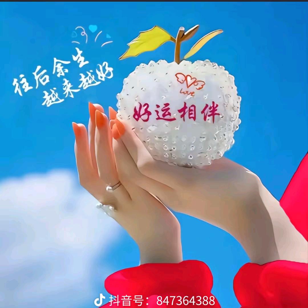 💗好运加🈵🌸（拒聊）
