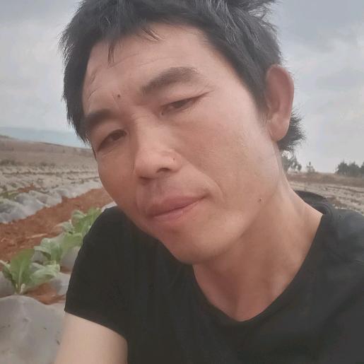 明天的世界更美好