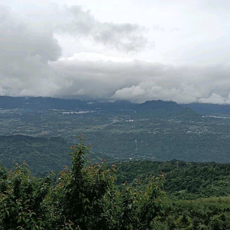 ꩵ₅₂ₒ古在💋心钟💗ོཹ࿐