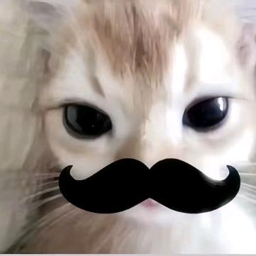 玫瑰