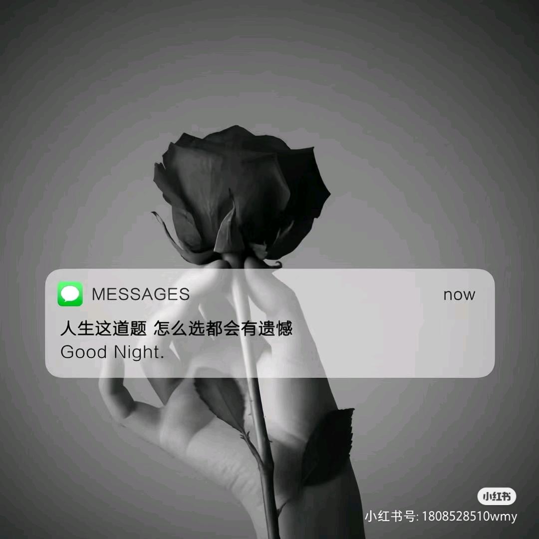 Li BI