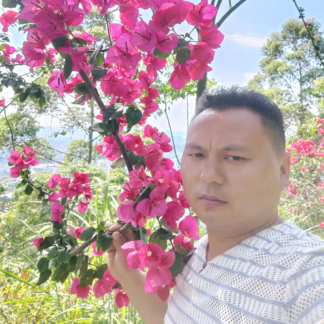 花心萝卜