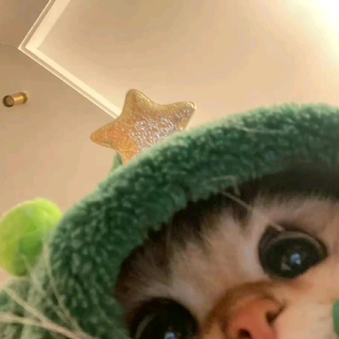知心姐姐