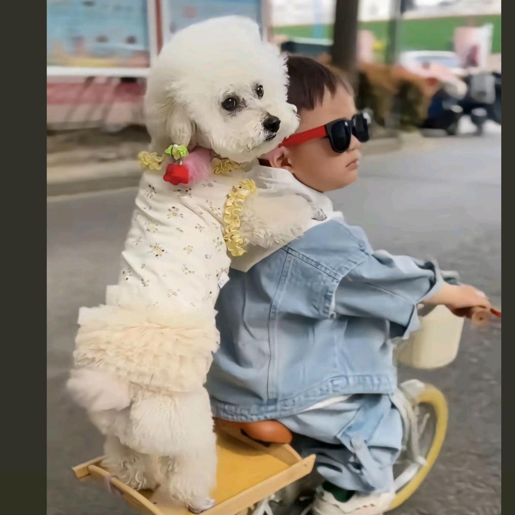叶小丫丫
