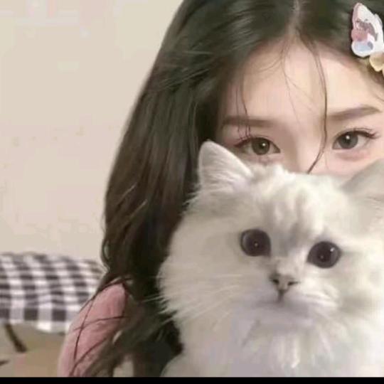 ^BB大王喵喵诺ྀི੭