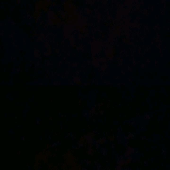 Xh鹿鹿