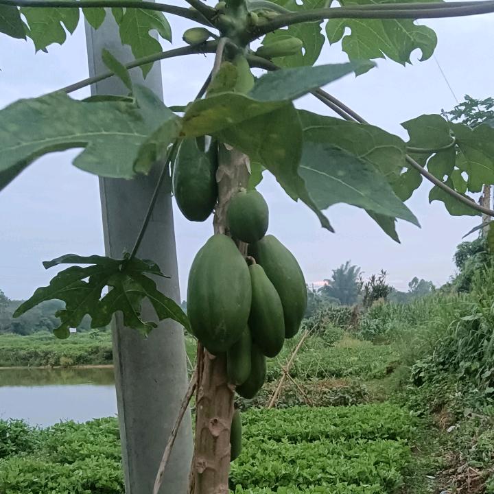 平凡的世界.