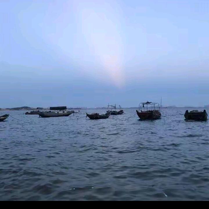 내삶을결정다: