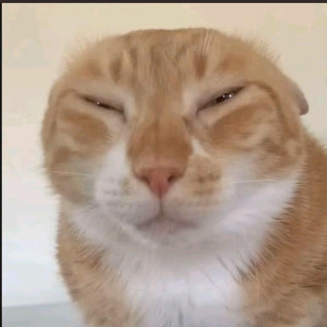 不响丸辣