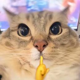 Ctrl T（努力画稿版）