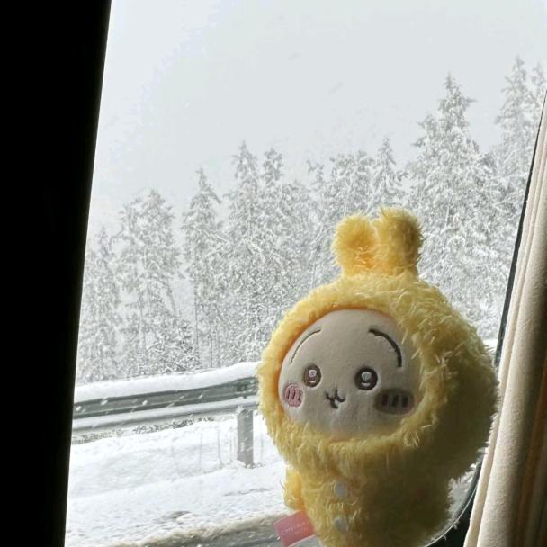 魔法少女小圆脸