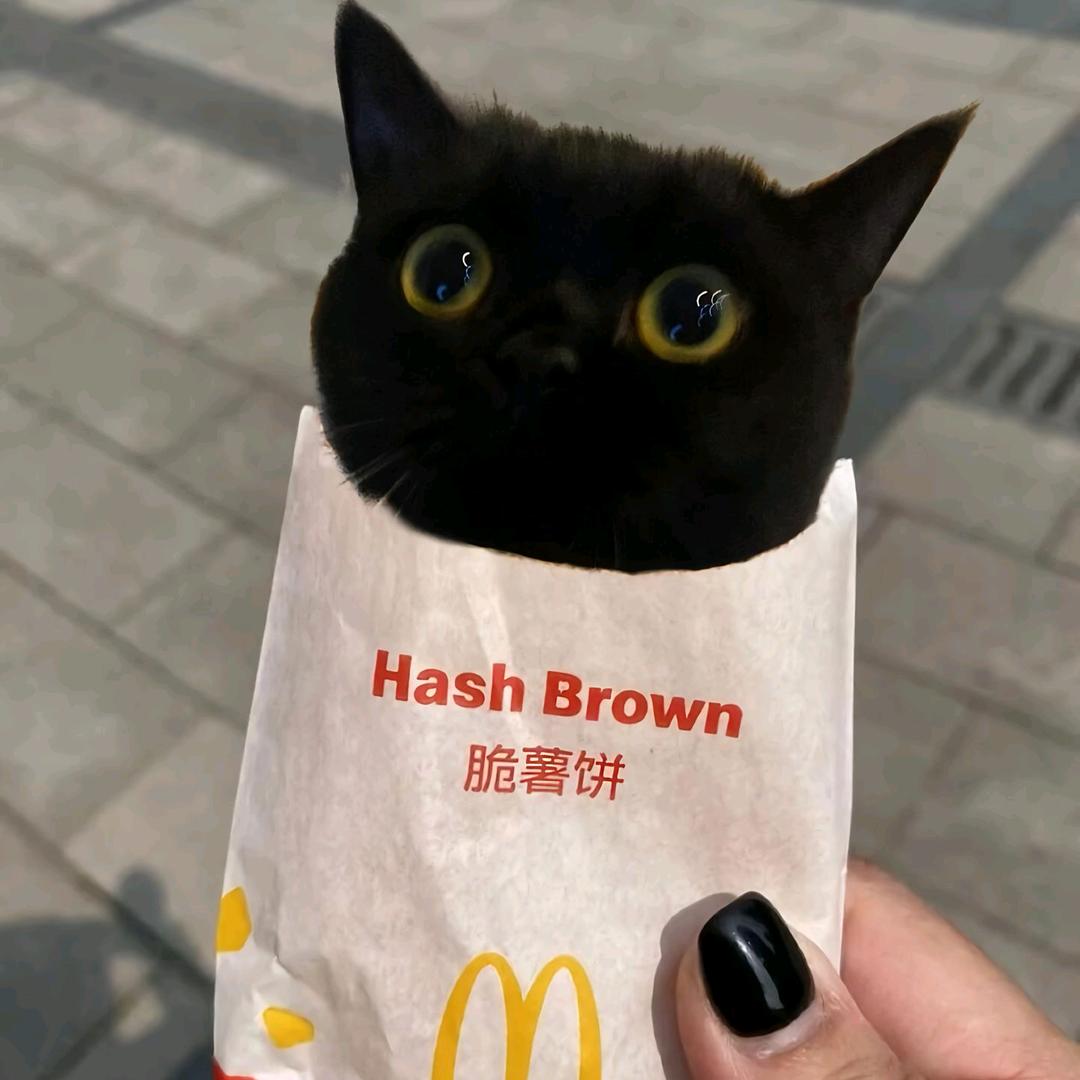 小森
