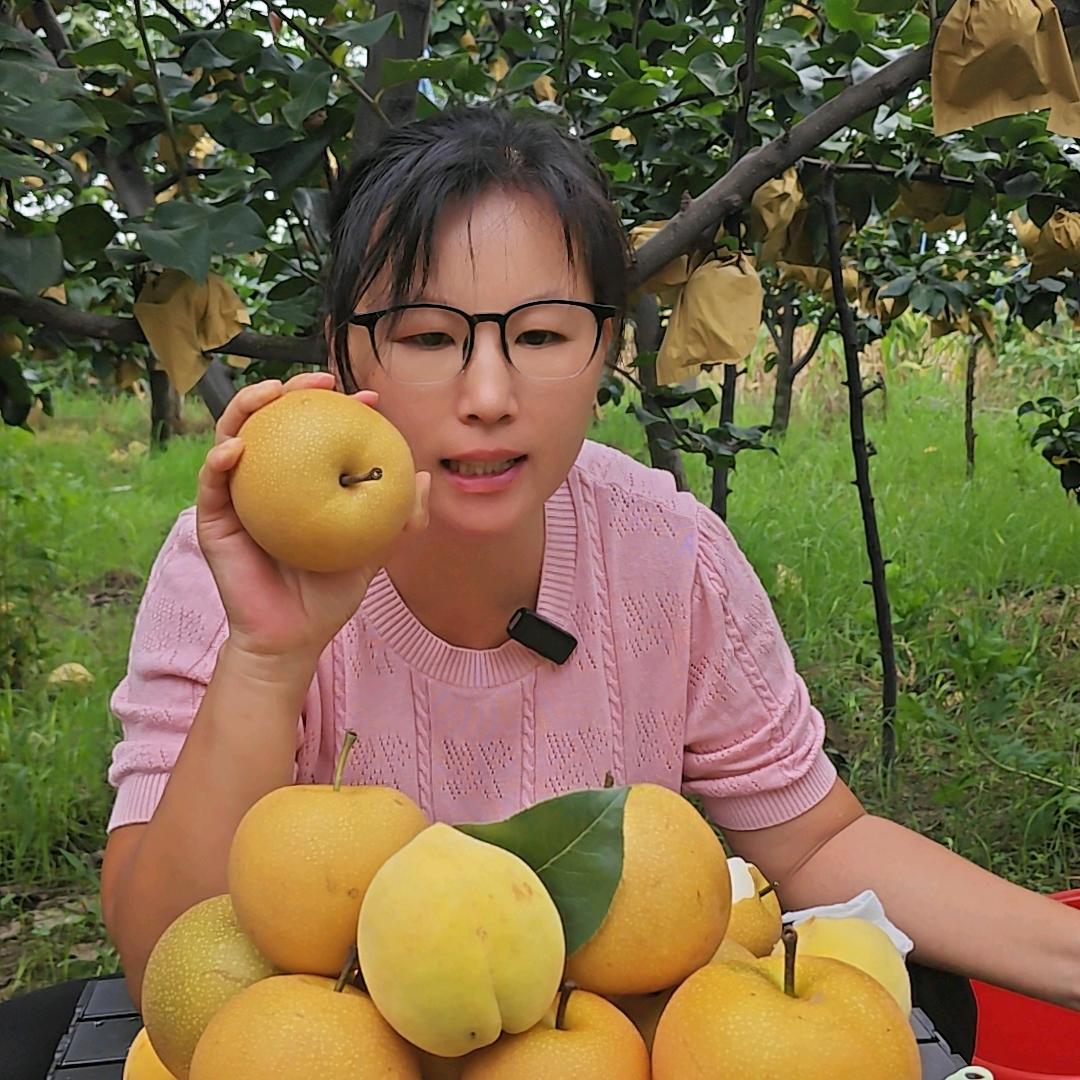沂蒙山树果果