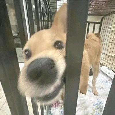 刚见面就得说再见👋