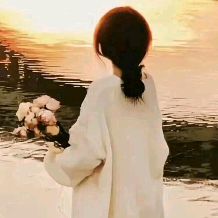 芙蓉