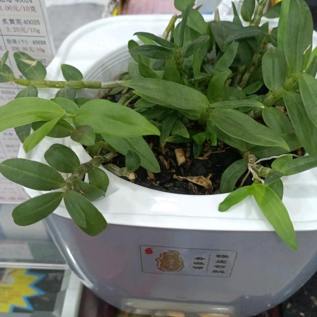 岁月安然