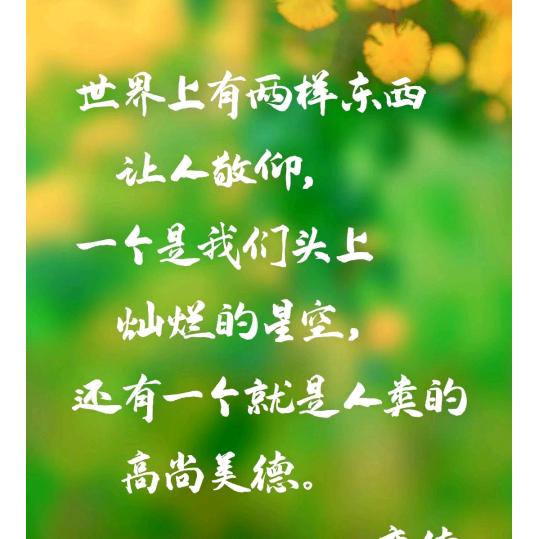 神评皮皮君