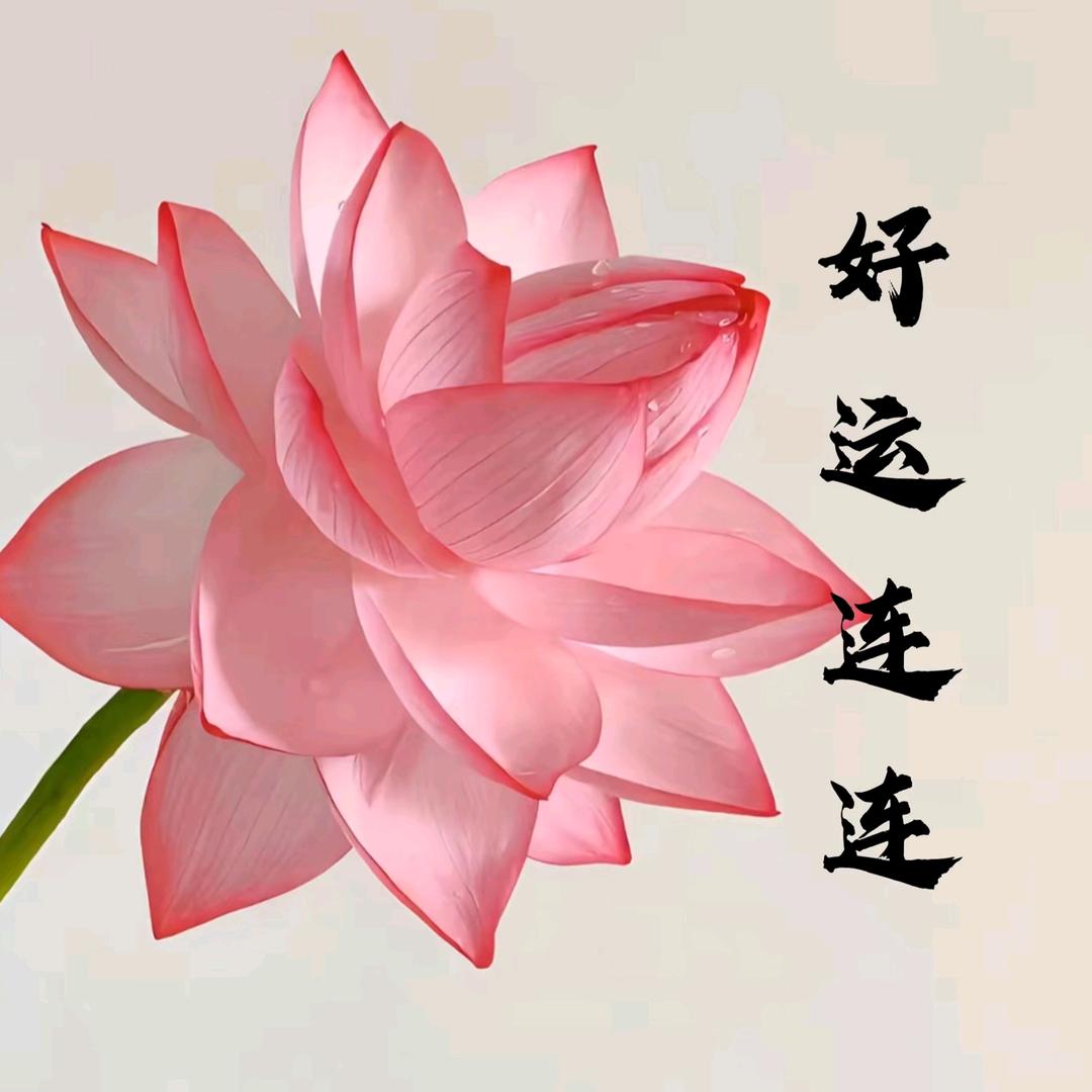随心