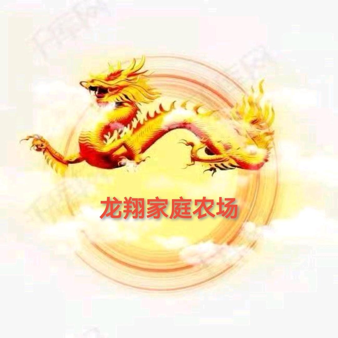 龙翔新农人