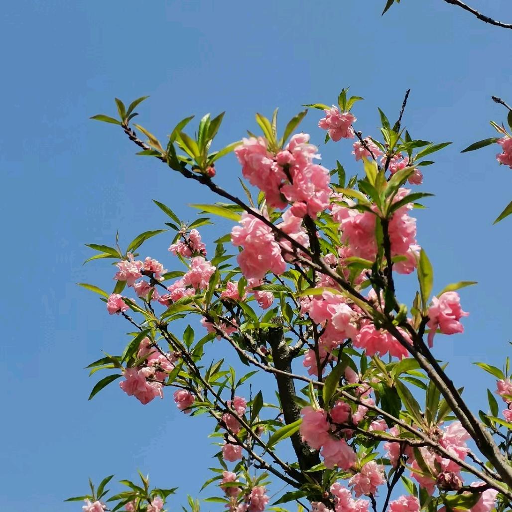 刹那抓住了未来🌺🌺