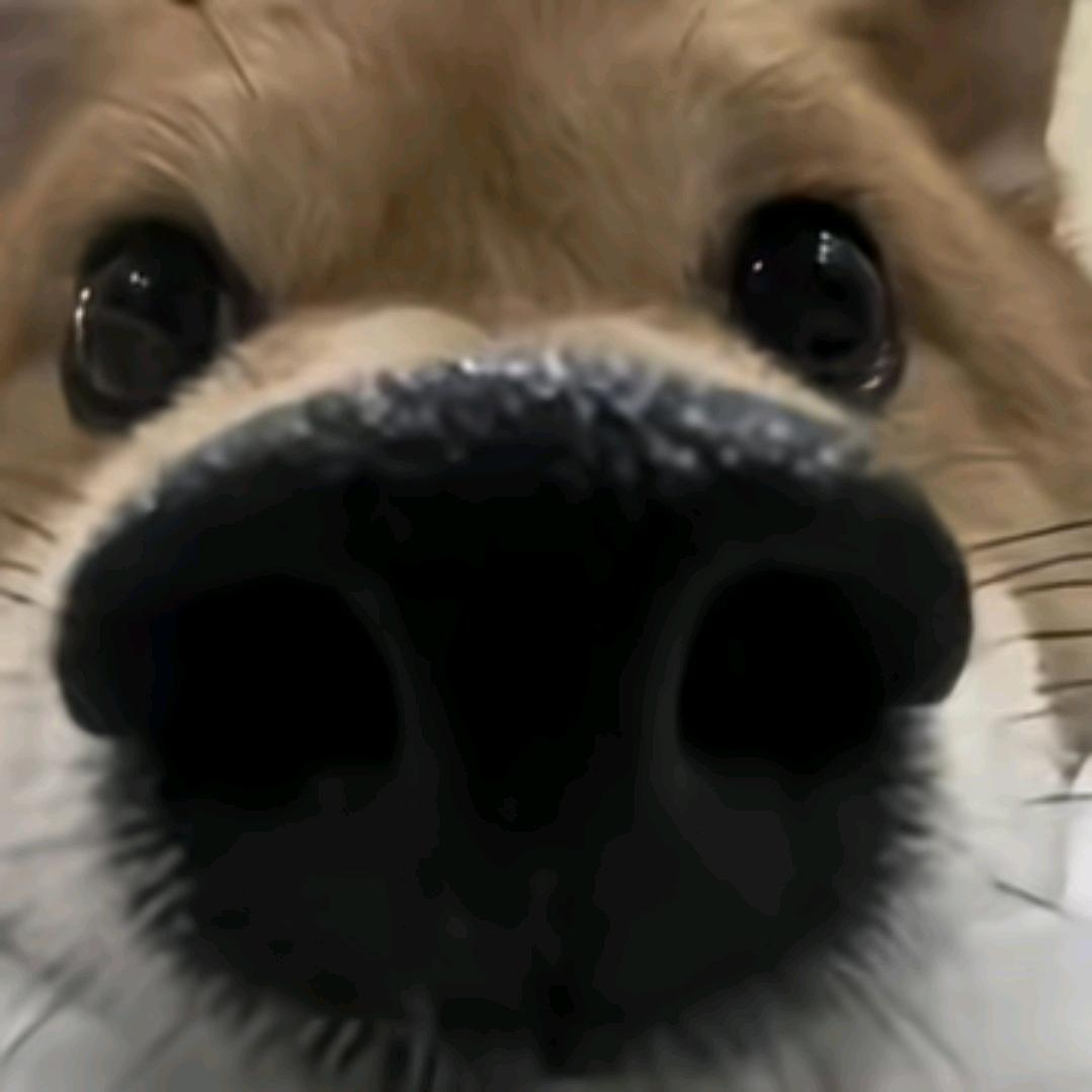 暴躁moon