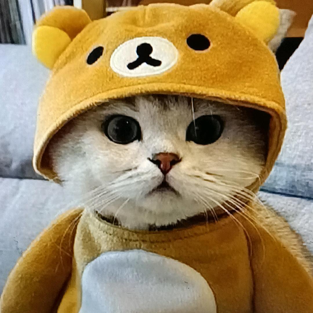 舒心丫
