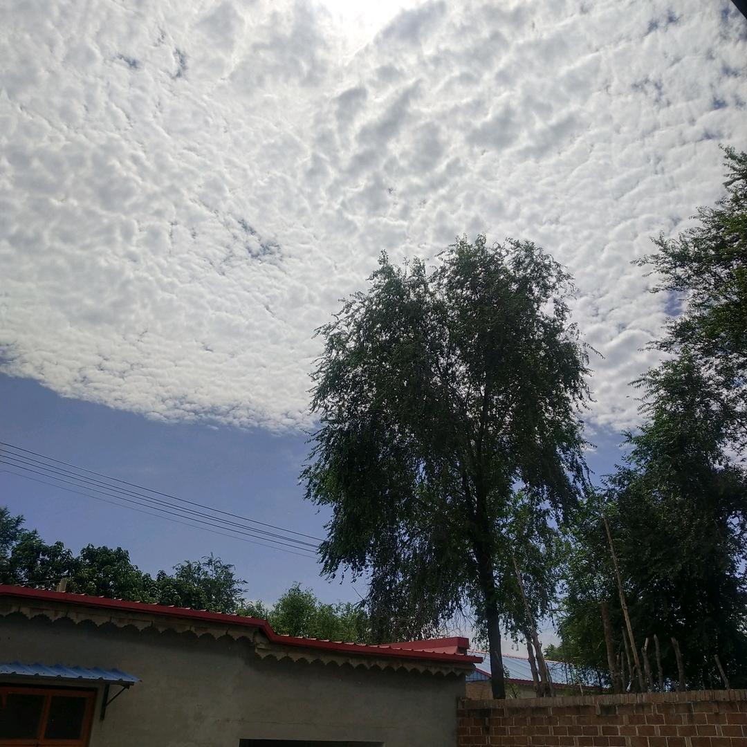 @ℳঞᩚꦿ张້໌ᮨ꧔ꦿ᭄