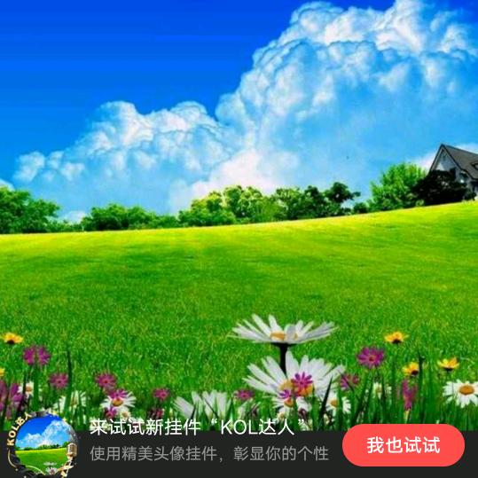 风中百合