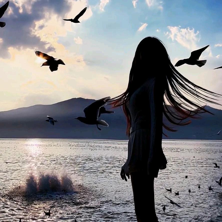 花若怜🌸（可思）