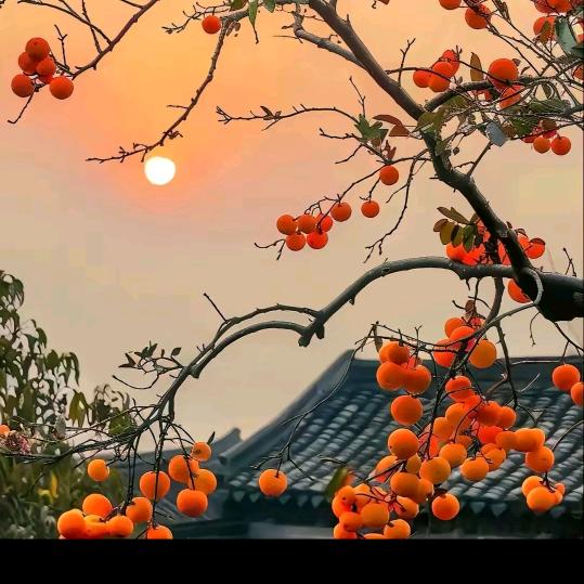 宇宁
