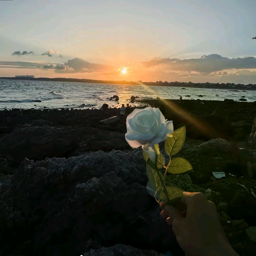 不吃芹菜