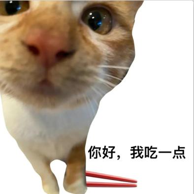 油炸小狗屎