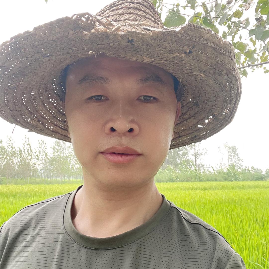 农村小董
