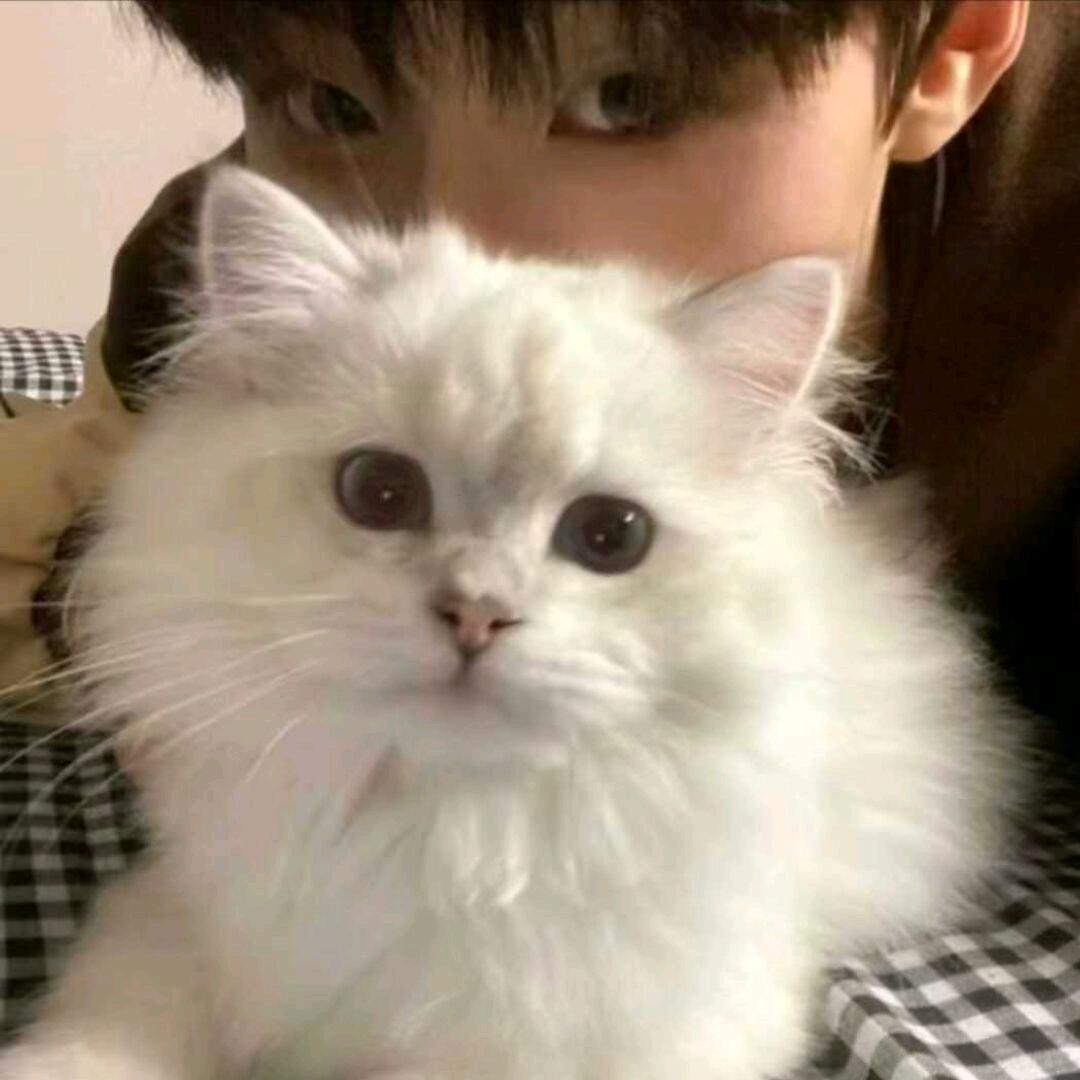 转世在异世界送外卖