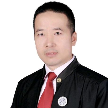 律师陈迪