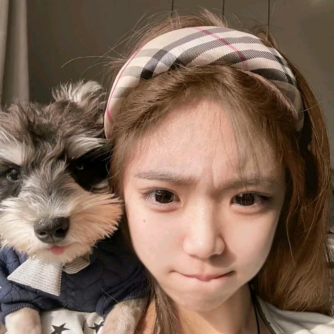 ㅤ︋︋︋︋︋   ㅤㅤㅤㅤ