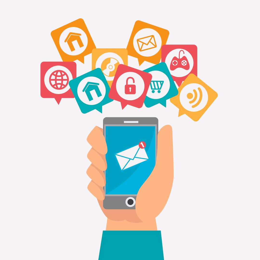 啥也不会的老菜鸡