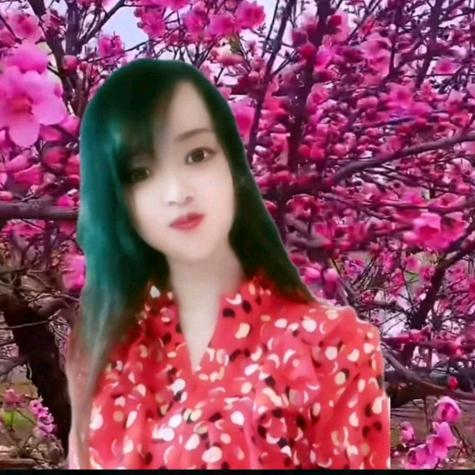 ꧁Clear清🌹