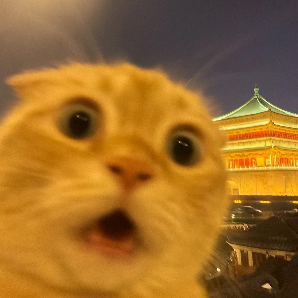 半盏温酒醉倾城