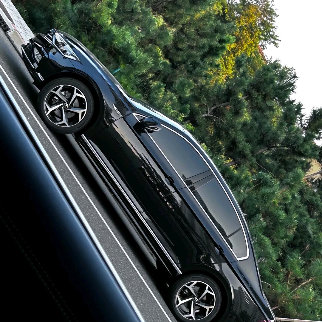 海盗哥，欢迎你上船