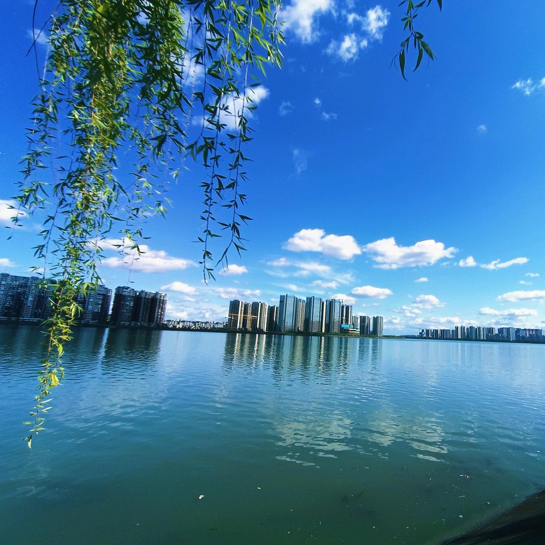 冬