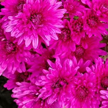 相信自己🍇🍉