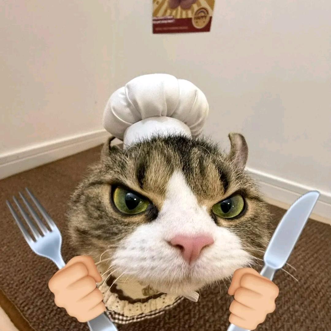 ՞˶˃ ᵕ ˂˶՞呼呼