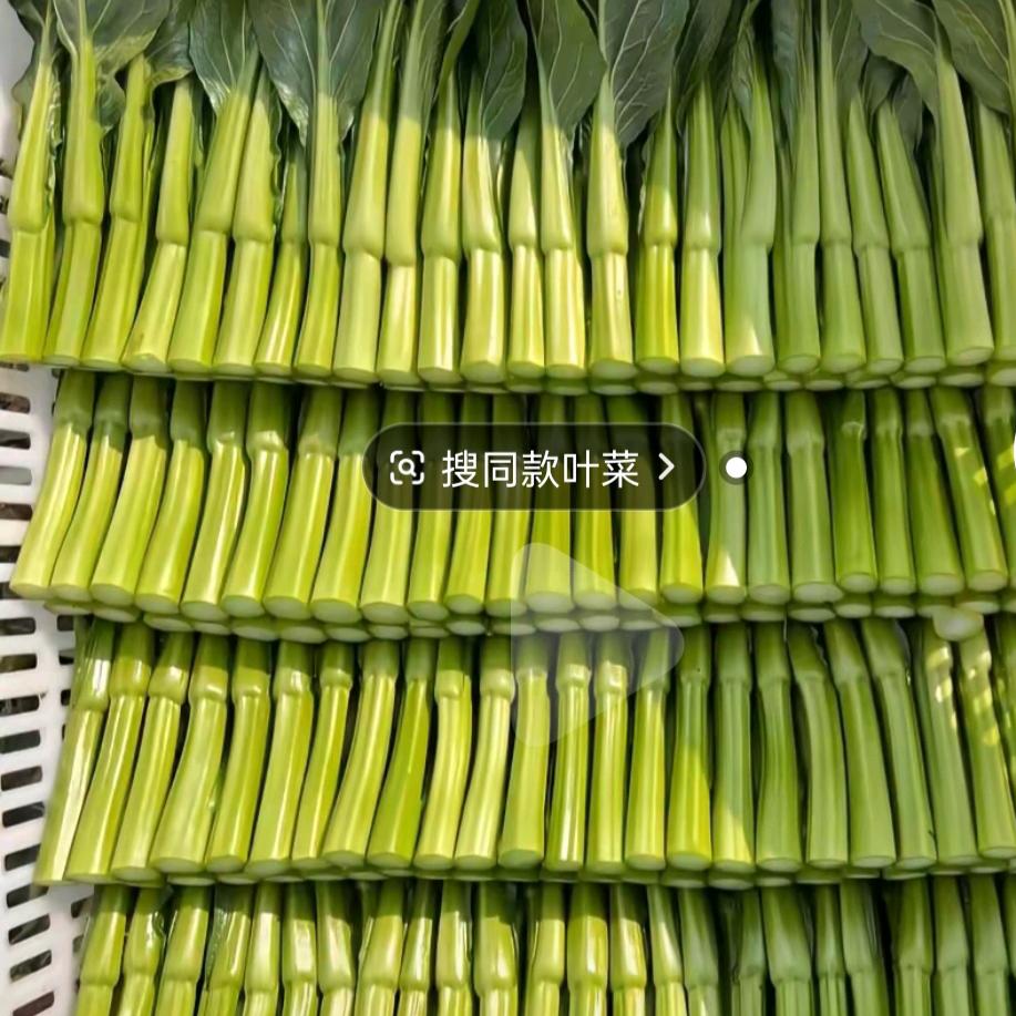 被你伤害了我。我就从来了，，，，学山歌