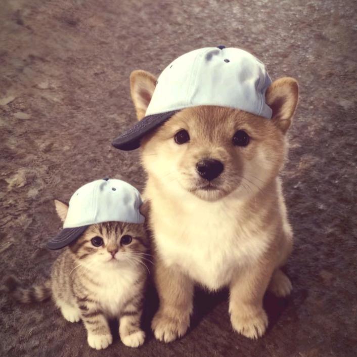 万古青天一株莲