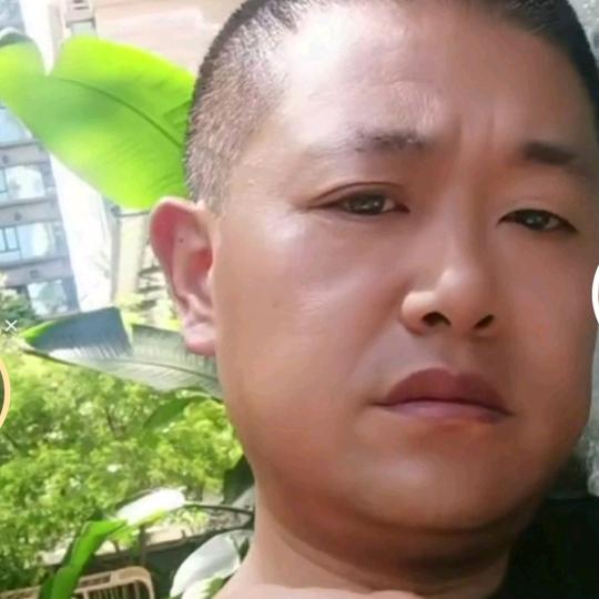 合悦  熊