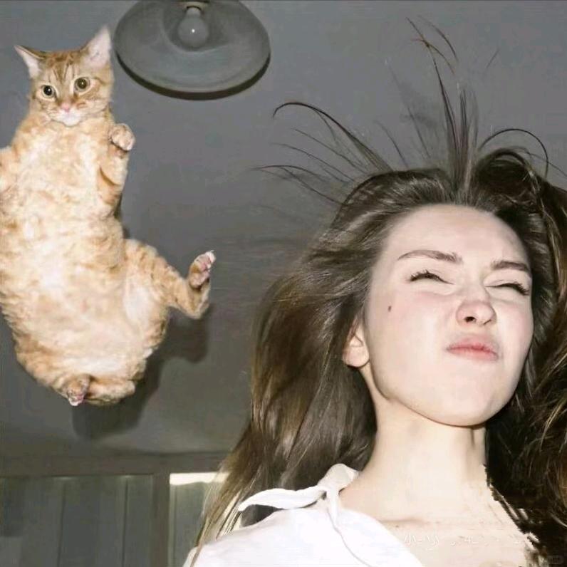 小小小小笑喜西