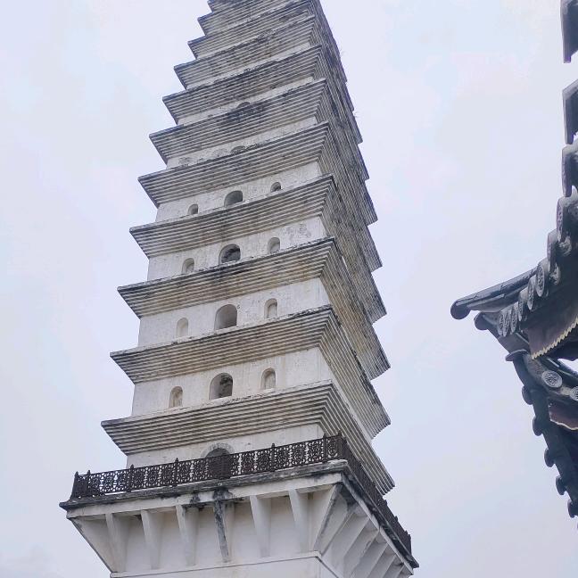 老去的陈师傅