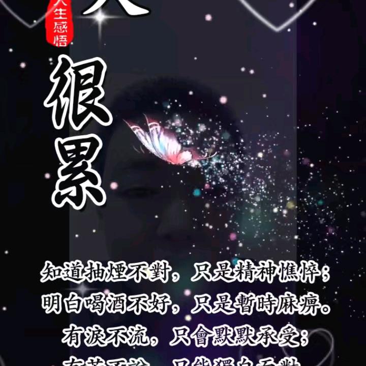 城市里的尘埃