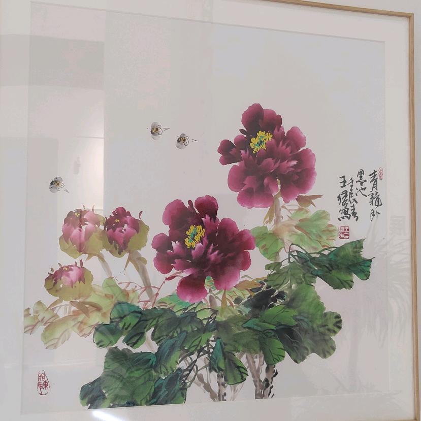 安沁月